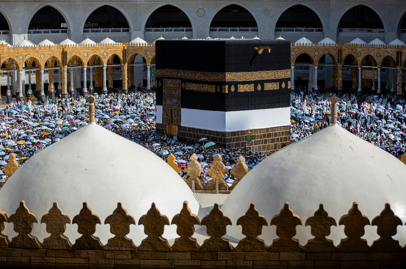perbedaan haji reguler